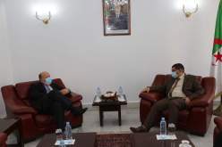 صناعة وإصلاح السفن التجارية محور تباحث وزير النقل مع السفير الكرواتي