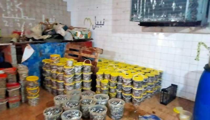 توقيف شخص وحجز 3 اطنان من الاسماك غير صالحة للاستهلاك البشري بالقالة في الطارف