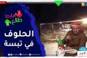 “طالع هابط: الشيخ النوي..”البڨر والحلوف غزاو ولاية تبسة