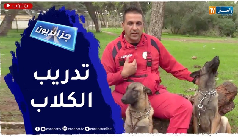 جزائريون: تدريب الكلاب.. مهنة جديدة فضلها محرز لتكون مصدر رزقه
