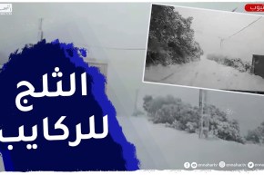 الثلوج على المرتفعات وأمطار رعدية غزيرة في هذه الولايات