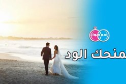حرفيات من وسط البلاد.. تبحثن عن شريك للحياة