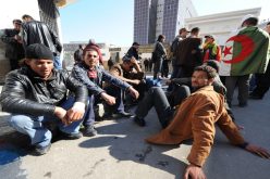 بـ8 شروط.. قروض دون فوائد للماكثات في البيت والبطالين