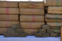 الشلف: الجمارك تحجز 24 كلغ من الكيف المعالج بواد أسلي