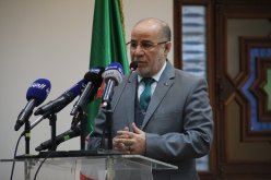 بلمهدي: الفتوى لصيقة بحياة الناس في العبادات.. وعلى المفتي أن يتطور