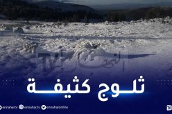 ثلوج يصل سمكها إلى 20 سم بـ 11 ولاية