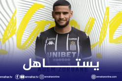 نجم الخضر الجديد يلقى الاعتراف في بلجيكا