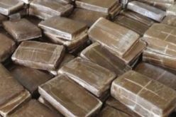 حجز “تراكتور” محمّلة بقنطار “زطلة” مستقدمة من البرج