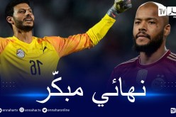 بالفيديو.. محمد الشناوي: “نحن نحترم الجزائر.. وهم أيضا يحترمون المنتخب المصري”