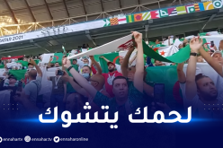 بالفيديو.. أنصار الخضر يؤدون النشيد الوطني بـ “القرينتا” من مدر جات ملعب الثمامة