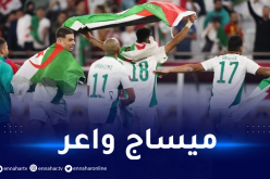 رسالة واضحة.. لاعبو الخضر يحتفلون بالراية الفلسطينية عقب الفوز أمام المغرب