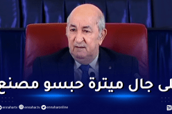 الرئيس تبون: مصانع جاهزة وقادرة على خلق 75 ألف منصب شغل ولكن!