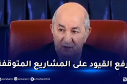 رئيس الجمهورية: إنشاء وكالة وطنية للعقار الصناعي.. هذه مهامها