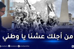 مارينز أمريكي يهدي أغنية للجزائريين بمناسبة ذكرى أحداث 11 ديسمبر