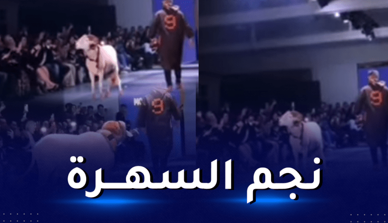 في سابقة هي الأولى من نوعها.. كبش يشارك في عرض أزياء بوهران