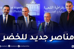 لعمامرة: “وزير الخارجية الكرواتي أصبح مناصرا للخضر”