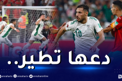 بالفيديو.. القطرية للطيران تستعين بهدف بلايلي الأسطوري لومضاتها الإشهارية