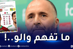 الفيفا تستفز الجزائريين وتُلغي سلسلة الخضر التاريخية
