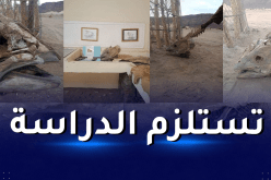 إكتشاف هياكل عظمية غامضة بتين هيوان في جانت وتحويلها للمتحف