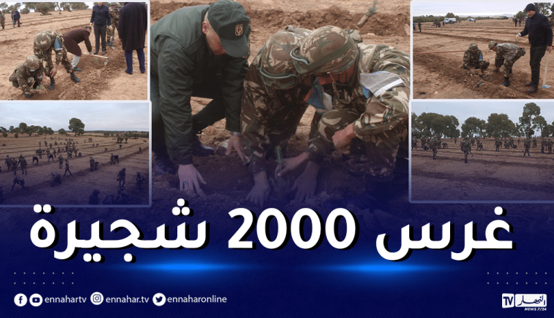الجيش يشارك في حملة تشجير بواد السبع في سيدي بلعباس