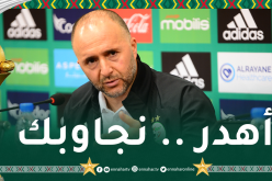 بلماضي يكشف علاقته مع اللغة العربية ويردّ.. تكلّم سأجيبك