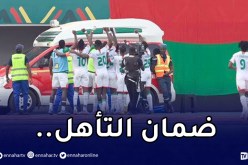 بوركينافاسو تُرافق الكاميرون إلى ثمن نهائي الكان