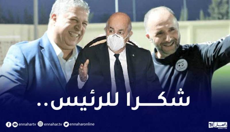 بالفيديو.. عمارة يشكر رئيس الجمهورية على رسالته التشجيعية