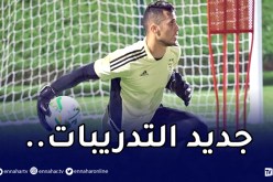 بالصور.. زغبة يندمج في تدريبات الخضر