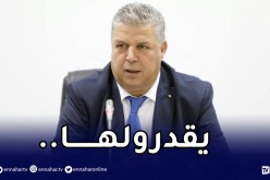 بالفيديو.. عمارة:”الكاميرون جاهزة لتنظيم الكان”