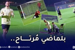 بالصور.. مبولحي وبن رحمة يندمجون وسليماني يعود للتدريبات