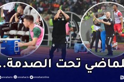 بالصور.. شاهد ردّة فعل بلماضي بعد هزيمة غينيا الإستوائية