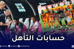 تعرف على حسابات تأهل الخضر للدور ثمن النهائي من الكان