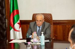 يوسف شرفة يشدد على المعالجة السريعة لملفات طالبي منحة البطالة 