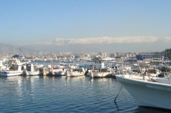 بناء السفن.. الموافقة على 11 طلبا لتخصيص أوعية في مناطق الساحل