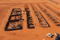 فندق 5 نجوم للإبل