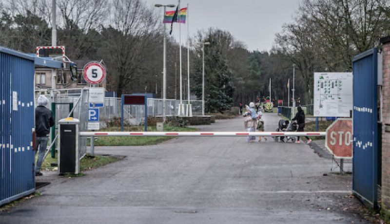 3 أشقاء جزائريين يقودون أعمال عنف في مركز اللاجئين بهولندا