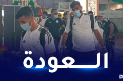 بالفيديو.. الخضر يصلون أرض الوطن ووزير الرياضة في الاستقبال