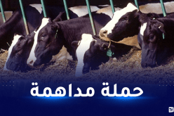 الدرك الوطني.. وسطاء غير الشرعيين حرموا مرَبِّي المواشي من المواد المدعّمة