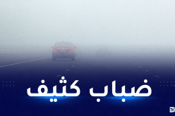 ضباب كثيف.. الحماية المدنية تحذر!
