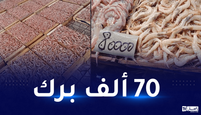 الجمبري  بـ700 دينار في أسواق التجزئة !