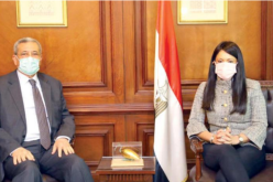 الجزائر ومصر تبحثان تعزيز التعاون السياسي والاقتصادي