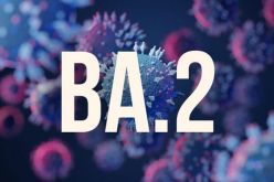 أوميكرون.. ظهور حالات إصابة لسلالة BA2 في الجزائر