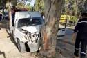 عنابة: مصرع 3 أشخاص في إصطدام سيارة بشجرة