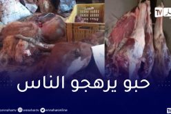 معسكر: حجز قرابة طن من لحوم البغال و الأحصنة كانت موجهة للإستهلاك