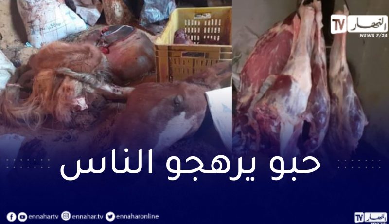 معسكر: حجز قرابة طن من لحوم البغال و الأحصنة كانت موجهة للإستهلاك