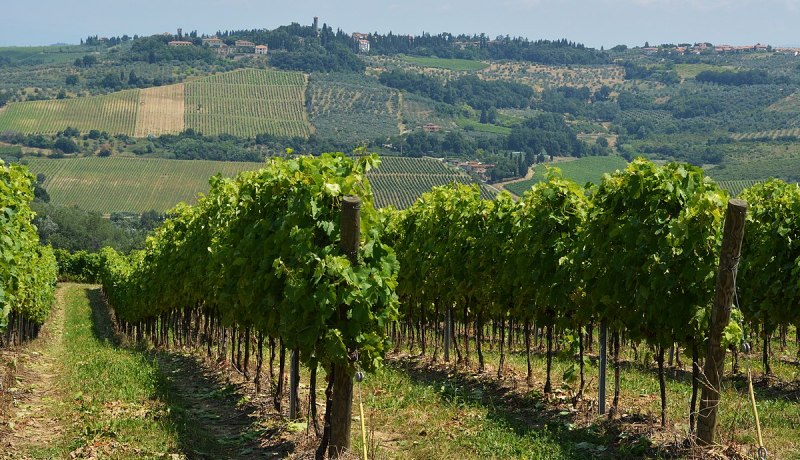 وفد أمريكي يجوب 8 ولايات لبحث الاستثمار الزراعي