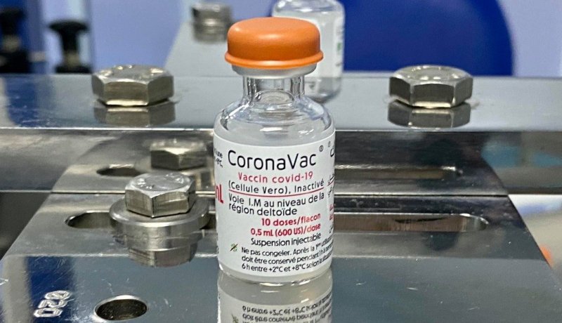 الشروع في تسويق وتصدير اللقاح الجزائري كورونافاك