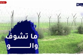 ضباب كثيف في محيط مطار هواري بومدين ما أدى إلى اضطراب في الرحلات