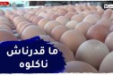 ميلة : إنتاج أكثر من 170 مليون بيضة في الموسم الفلاحي والأسعار لازالت مرتفعة
