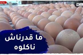 ميلة : إنتاج أكثر من 170 مليون بيضة في الموسم الفلاحي والأسعار لازالت مرتفعة